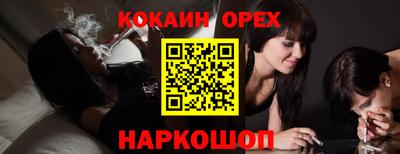 крисы Можга