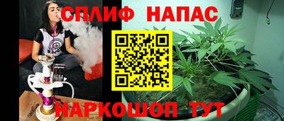 молекула духа Донской