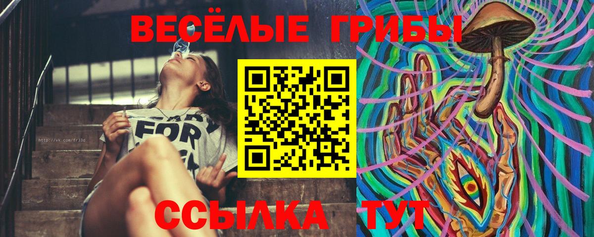 Галлюциногенные грибы ЛСД Медногорск